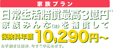 個人賠償最高3億円。家族みんなを補償して-保険料年額9520円〜お手続きは簡単、今すぐ申込めます。